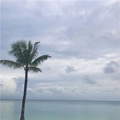 天天中彩票Welcome在线购彩截图